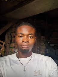 Can icolorama be used with regular camera images?