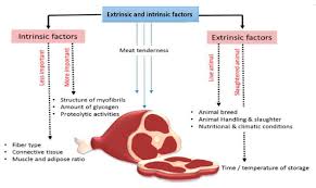 We did not find results for: Genes Free Full Text The Role Of Micrornas In Muscle Tissue Development In Beef Cattle