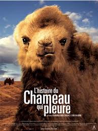 Opens with an old man telling a story about why camels don't have antlers. The Story Of The Weeping Camel Photos The Story Of The Weeping Camel Picture Gallery Famousfix