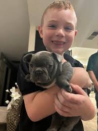 Why do we let new puppy parents name their puppies?