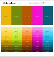 English language names are approximate. 32 Latest Color Schemes With Orange And Teal Color Tone Combinations 2021 Icolorpalette