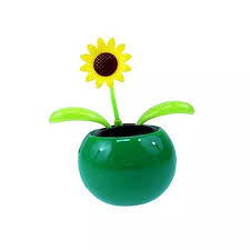 Salah satu kultivar bunga matahari ini memiliki ukuran pendek. Tidak Ada Tenaga Surya Menari Bunga Bunga Matahari Mini Aliexpress