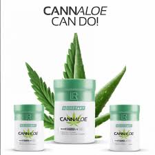 Einfach bei lr health & beauty einkaufen. Lr Cbd Kapseln Cannabis Mit Kurkuma Weihrauch Aloe Monatsportion