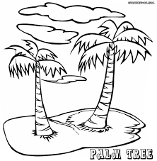 Free printable palm tree coloring pages for kids. Coloring Pages Of Palm Trees Coloring And Drawing