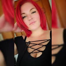 Free wet cat food needed in Collingdale area