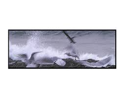 Klaus Bohn Photographs