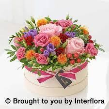 Autumn Daze Hatbox Buy Online Or Call 00 353 71 96 23391