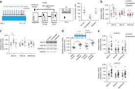 Adoption and legal guardianship incentive payments program awards history, fiscal year 1998 to fiscal year 2019; Acf Chromatin Remodeling Complex Mediates Stress Induced Depressive Like Behavior Nature Medicine