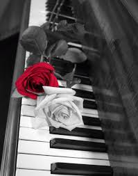 Black And White Music Instruments Photography Black White Red Rose On Piano Wall Art Photography Home Decor Matted Picture On Etsy 21 13 Aud Color Splash Photography Photography Wall Art Red Roses
