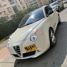 Image result for Gardenia 2011 MiTo