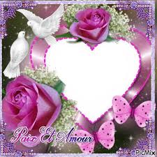 Amours Design Template