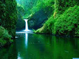 This page for the nature lovers. Wallpaper Nice Nature Pictures Novocom Top