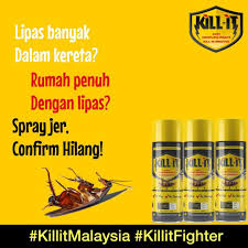 Kalau tak ada arang, soda penaik atau 'baking soda' adalah satu lagi cara hilangkan bau kereta yang berkesan. Kill It Bunuh Lipas Serangga Dalam Kereta Killit Original Hq Lazada