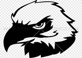 Gambar burung mewarnai anak tk gambar burung maleo hitam putih gambar burung merak vektor gambar burung nuri papua. Bald Eagle Eagle Head White Animals Png Pngegg