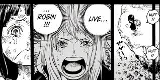 One Piece 1134: What To Expect From The Chapter