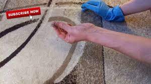 It's not as difficult to remove it from hard flooring like wood and linoleum. Remove Long Hair From Carpet Without Vacuum How To Remove Dog Hair From Carpet Without Vacuum Youtube