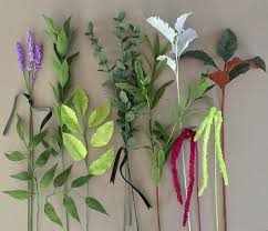 Share this ruscus has separate male and female plants. Tiffany Holloway On Instagram Greenery From Left To Right Lavender Italian Ruscus Israeli Ruscus Paper Flowers Diy Giant Paper Flowers Diy Paper Flowers
