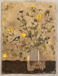 Image result for Aspilia africana