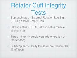 Image result for Rotator Cuff Triad Test
