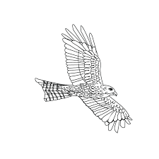 Bird stories and sketching, kids corner |. Coloring Pages Bird12