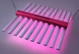 Check spelling or type a new query. Bml Horticulture Spydr 1200 Led Grow Light Review