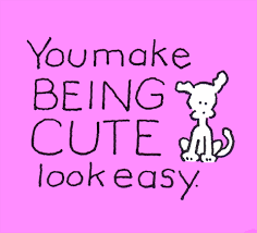 You Are Cute Gifs Get The Best Gif On Giphy