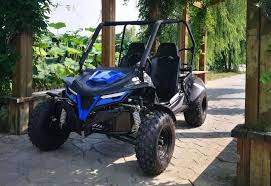 TrailMaster - Cheetah 200