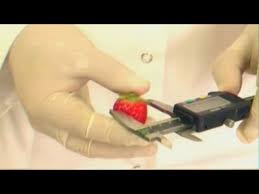 The canadian artist, guitar player and vocalist released. Bartek Erdbeeren Baby Lyrics Genius Lyrics