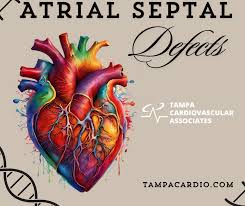 Image result for Atrial Septal Defect