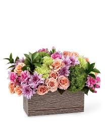We did not find results for: Soft Splendor Bouquet At From You Flowers
