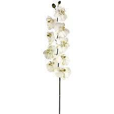 Maybe you would like to learn more about one of these? Faux Phalaenopsis Orchid Stem Permanent Orchid Stem Faux Orchid Palm Bungalow