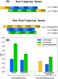 Gene birth and constraint avoidance both contribute to structural disorder  in overlapping genes