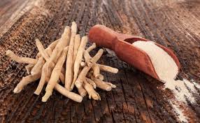 Ashwagandha is highly recommended in hypothyroidism. ÙÙˆØ§Ø¦Ø¯ Ø§Ù„Ø§Ø´ÙˆØ§Ø¬Ù†Ø¯Ø§ ÙˆØ·Ø±ÙŠÙ‚Ù‡ Ø§Ø³ØªØ®Ø¯Ø§Ù…Ù‡Ø§ ÙˆØ§Ø¶Ø±Ø§Ø±Ù‡Ø§ Ù…ÙˆØ³ÙˆØ¹Ø©
