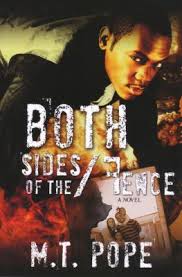 The book also features a cover. Both Sides Of The Fence Book Series