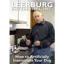 It is a good option for large and giant breed dogs and when only one breeding can be performed. How To Artificially Inseminate Your Dog