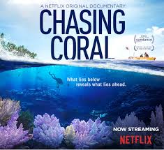 Trailer movie about 10 years ago by joey paur here's a fun little trailer for those of you that have a fear of being stuck in the middle of the ocean only to be eaten by sharks. Chasing Coral A Netflix Original Documentary