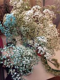 Dyed Baby S Breath X Flower Crown Wedding Flowers Babys Breath Flowers Flower Crown