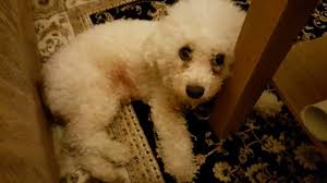 I haven't seen anything