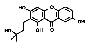 Image result for Eriocoelum microspermum