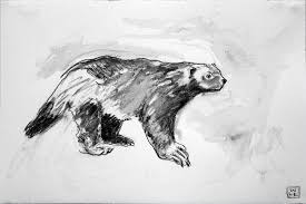 Start by drawing the head detail and eye of your wolverine in pencil. Five For Friday The Wolverine Will Eskridge