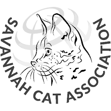 Some breeders could even offer savannah kittens for $3000 or even higher. A Complete List Of States That Allow Savannah Cats
