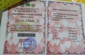 Misalnya saja, saya langsung mengurus ke kelurahan untuk mendapatkan surat pengantar, dan surat keterangan lainnya. Persiapan Pernikahan Dan Hiruk Pikuk Mendapat Restu Kua Saat Pandemi