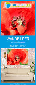 Mohnblumen Wandbilder Der Hochwertige Wandschmuck Zum Selbst Gestalten Wandbilder Fotoleinwand Tapeten Kaufen Bei leinwand xxl können sie ihre lieblingsfotos auf echte leinwand im xxl format drucken lassen. pinterest