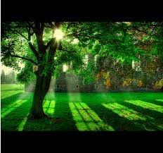 Richard Goss Obituary