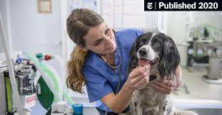 Check spelling or type a new query. Fear Free Pets Make For Happier Pets And Owners The New York Times