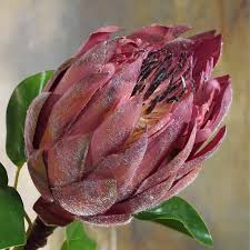 King Protea Cynaroides Artificial Flower Bouquet Fake Flowers Artificial Flowers