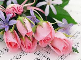 Content updated daily for fyf flowers. My Melody With Love Pretty Chocolate Valentine Sweet Nice Love Flowers Hd Wallpaper Peakpx