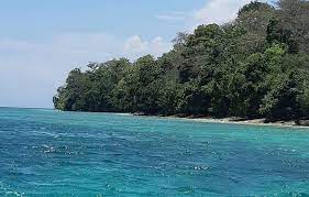 Harga tiket masuk per orang masuk ke teluk ijo banyuwangi yaitu rp 35.000,00 per orang. Asyiknya Snorkeling Di Teluk Biru Banyuwangi Airnya Sebening Kristal Okezone Travel