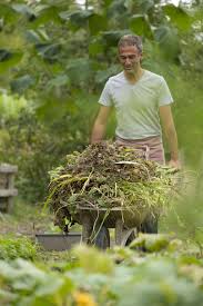 Preparer Le Sol En Respectant La Terre Nourrir Pailler Economiser L Eau Et Recycler Les Dechets So Avec Images Jardin Potager Jardin Permaculture Idees Jardin