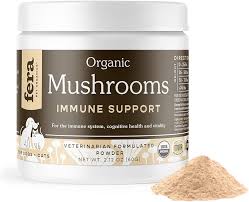 Fera Pets Turkey Tail Mushroom Supplement for Dogs & Cats - Vet Created -  for Cognition & Immune System – Organic Lion's Mane, Shiitake Mushrooms -  120 Scoops​ : Amazon.ca: Pet Supplies